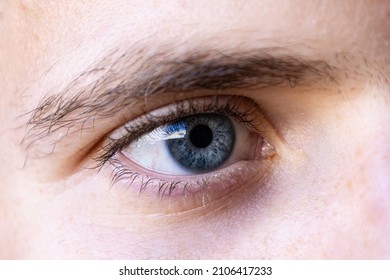 Macro Photography Of The Pupil Of A Young Man Eye