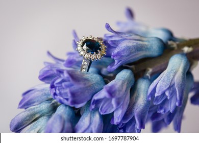 Macro picture of white gold engagement ring with big oval blue sapphire with diamonds placed on blue and violet blooming hyacinth  - Shutterstock ID 1697787904