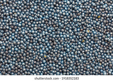 Macro. Processed Blue-coated Rapeseed Seeds In A Petri Dish In The Lab