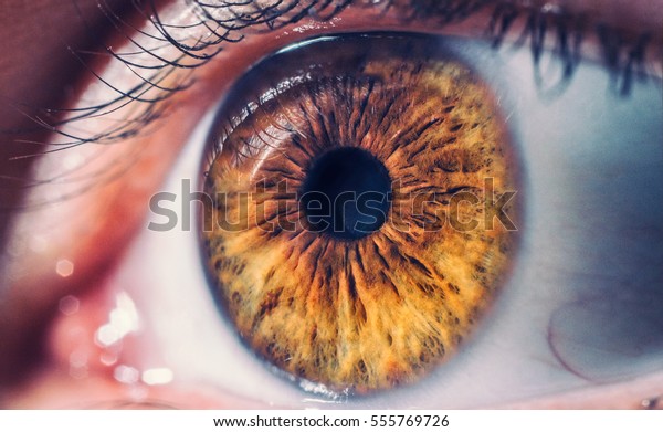 Macro pupil retina\
human colse eye photo 