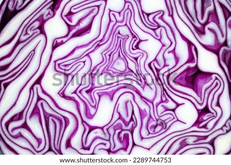 Macro Purple Cabbage,Macro shot of purple cabbage texture. Food background. Close-up macro view of red cabbage, scotch kale, high resolution. Organic food. View from above. Copy space. Vertical shot.