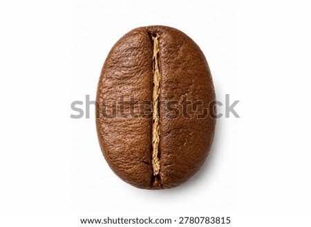 Macro Robusta Coffee Bean Isolated on White Background.