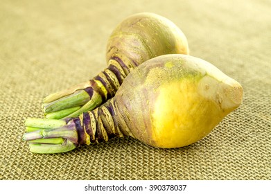 Macro of seasonal swede turnip vegetable