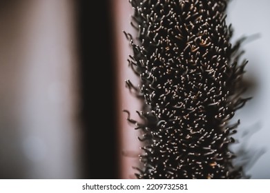 Macro Selective Focus On The Bristle Ends Of A Wire Brush Wheel On A Grinder.