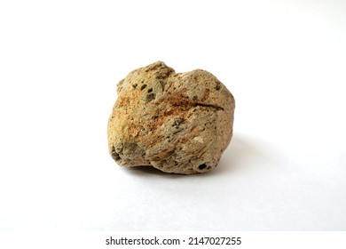 Macro Shooting Specimen Pumice Rock Isolated On White Background. Floating Rock.