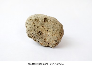 Macro Shooting Specimen Pumice Rock Isolated On White Background. Floating Rock.