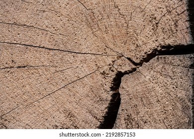 Macro Shot Of An Ancient Weathered Dark Brown Cracked Wood Beam Surface With Nice Rough Grain Texture.