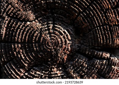 Macro Shot Of An Ancient Weathered Dark Brown Cracked Wood Beam Surface With Nice Rough Grain Texture.