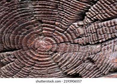 Macro Shot Of An Ancient Weathered Dark Brown Cracked Wood Beam Surface With Nice Rough Grain Texture.