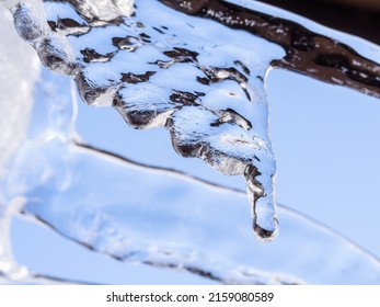 A Macro Shot Of A Beautiful Icicle Formed In The Cold Wintertime