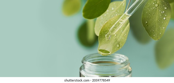 Macro shot of beautiful leaf and pipette, medicine drop falling into jar. Natural, organic, bio cosmetics from herbs and plants for skin and health