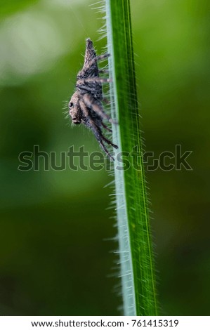 Similar – Image, Stock Photo Ephemeral Environment