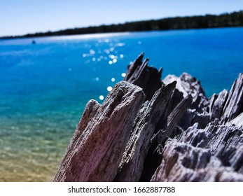 Macro Shot Of Branch With Clear Water In Sussex Inlet