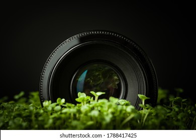 Macro shot of camera lens and fresh green sprouts or micro greens on the black background