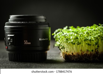 Macro shot of camera lens and fresh green sprouts or micro greens on the black background
