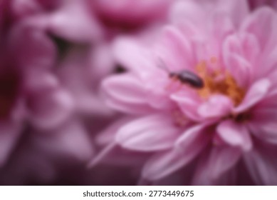 A macro shot captures a tiny insect resting on the delicate petals of a blooming pink dahlia, showcasing intricate details of nature.