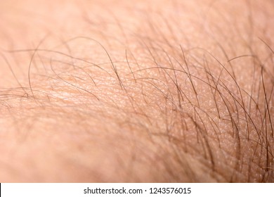 Macro Shot Of Caucasian Skin (skin And Peach Fuzz On A Man's Hand