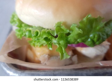 Macro Shot Of A Chicken Sandwhich