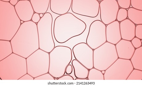 Macro shot of clear liquid flows between different sized clear bubbles disconnecting them on pale pink background | Macro shot of skin care cream for its commercial