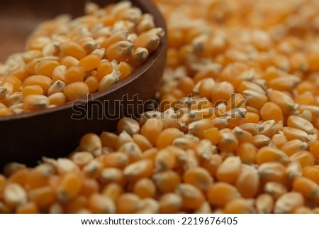 Macro shot of corn kernels. Popcorn kernels. Close-up of corn kernels in a bowl.
