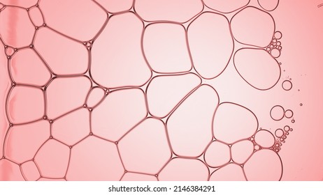 Macro shot of different sized transparent soap bubbles creating a bubble grid on pink background | Macro shot of skincare lotion ingredients for its commercial - Shutterstock ID 2146384291