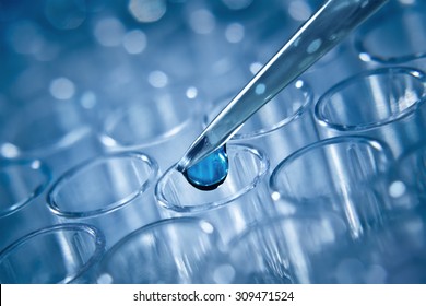 Macro Shot Of Dozator Tip And Plastic Plate For Immunosorbent Assay, Molecular  Diagnostics