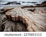 Macro shot of driftwood on the ocean coastline