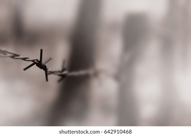 Macro shot of an element of old and rusty barbed wire with a blurred background. Fragment of a village fence of a territorial site