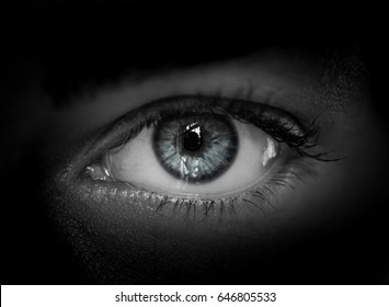 Macro Shot Of Female Human Eye In Black And White Toned.