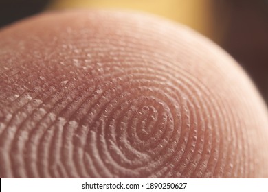 Macro shot of fingerprint pattern