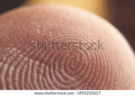 Similar – Image, Stock Photo Macro shot of a pink Amaryllis flower with heart shaped stamens