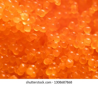 Macro Shot Of Fish Roe (masago)