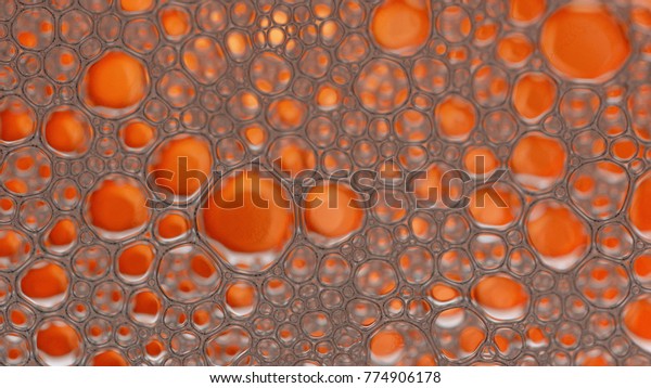 Macro shot Foam Bubble from Soap or Shampoo
Washing disappear from the
screen