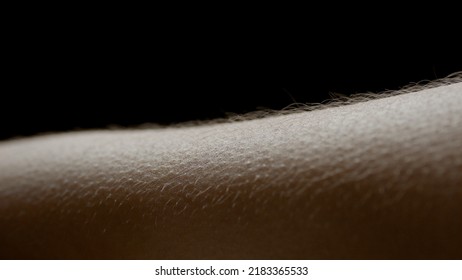 Macro Shot Of Hairy Skin Of Young African American Woman On Black Background | Skin Texture Shot For Skin Moisturizing Concept