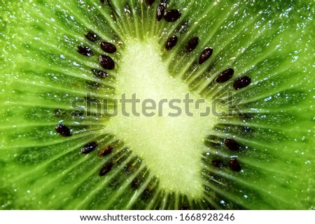 macro shot of  kiwi fruit texture background