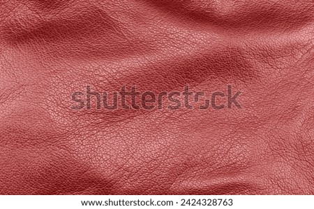 Macro shot leather texture background. Part of perforated red leather details. Perforated leather texture background. Texture leather