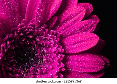 Macro shot of Pink flower petals with rain drops on it. Beautiful shot of nature in Garden Park - Shutterstock ID 2215995369