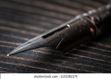 Macro Shot Of Quill Tip