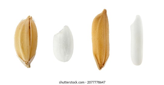 macro shot of rice and grain on white background. - Shutterstock ID 2077778647