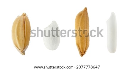 macro shot of rice and grain on white background.