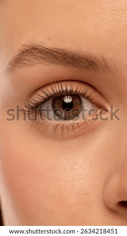 Macro shot of single eye with sharp lashes, natural brown iris, smooth eyelid and perfectly shaped brow. Female model with smooth healthy skin. Concept of natural beauty, eye care, cosmetic products