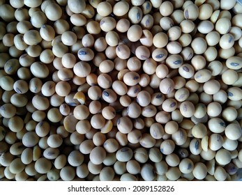 Macro shot of soybeans fills the frame, soybeans background