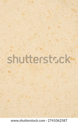 Macro shot of the surface of a fresh wheat tortilla showing detailed texture and light brown toasted spots