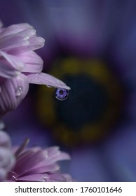 a macro shot through the drop