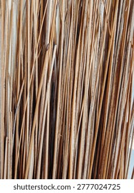 Macro Shot of Traditional Coconut Leaf Midrib Bristles for Broom Making
