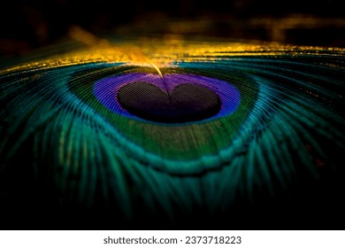 A macro shot of the vibrant peacock feather details illuminated by the sunlight - Powered by Shutterstock