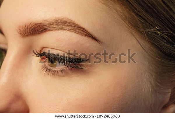 Macro shot of\
woman\'s face with beautiful eye with eyelashes, eyebrow and nose\
and some wrinkles around the\
eye