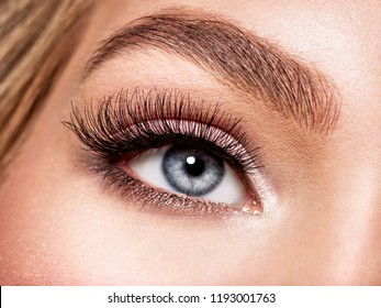 Macro Shot of Young Woman's Beautiful Eye. Elegance CloseUp of Female Eye with Classic MakeUp. Beauty, Cosmetics and Makeup. Brown Eyeshadow on Eyelid