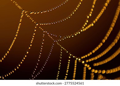 Macro shots of a spider web with backlight
