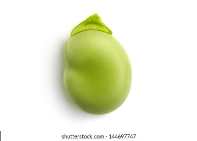 Macro Of A Single Green Broad Bean